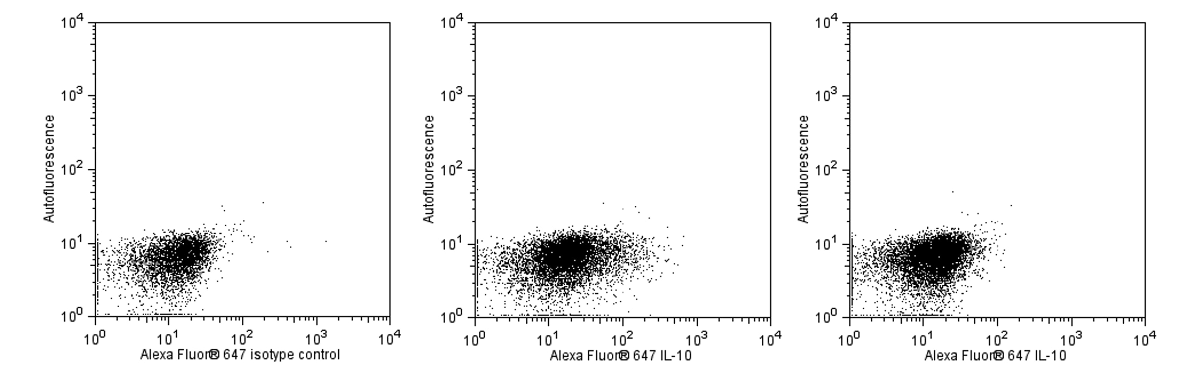 562156Image1.png